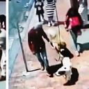 En enero se robaron a Sarco, un chow chow que servía de apoyo a un señor de la tercera edad.