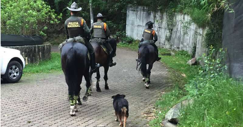 Policía de medio ambiente 