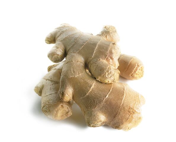 Ginger, Zingiber officinale. (Photo by FlowerPhotos/Universal Images Group via Getty Images)