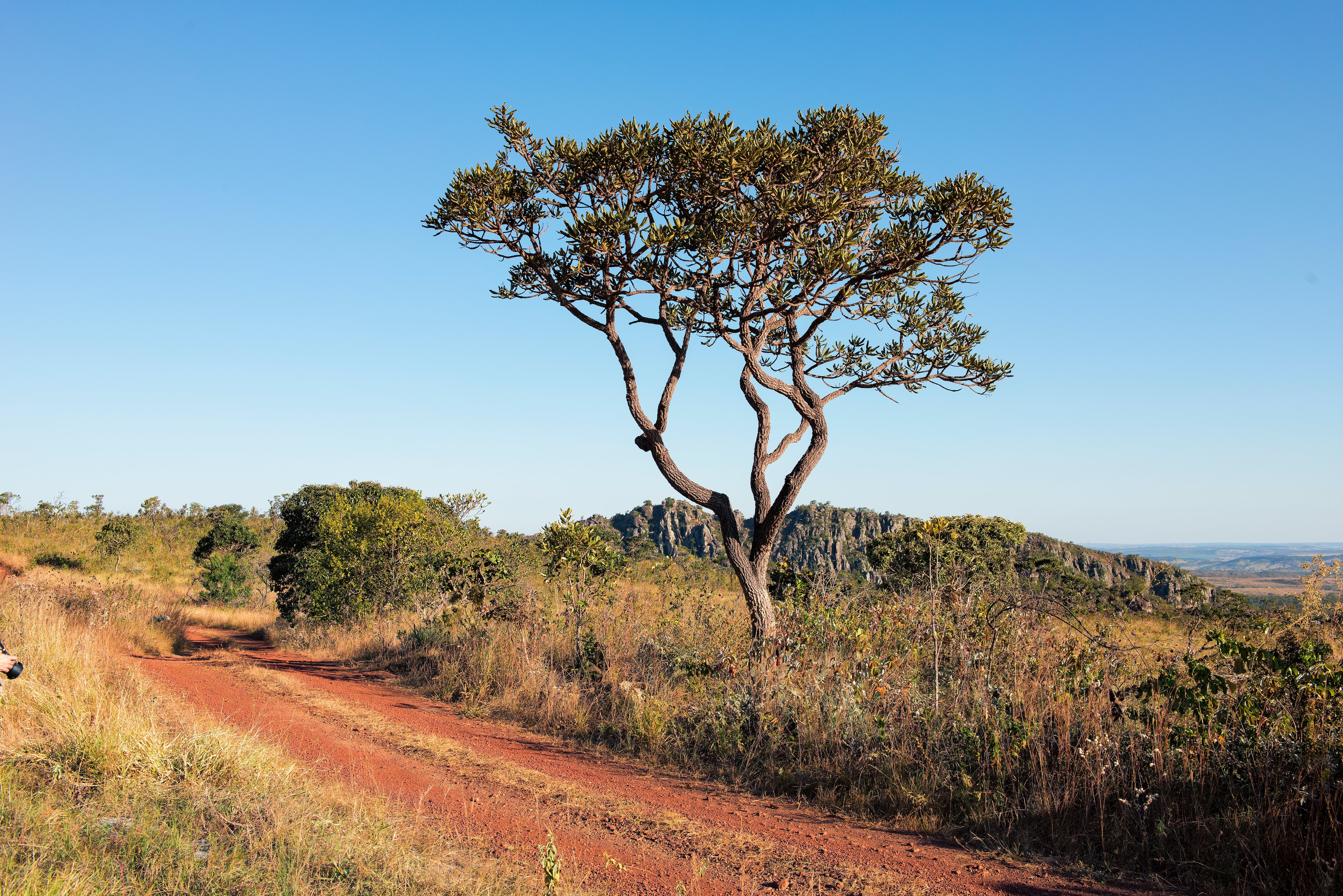 Viajes en 2025: National Geographic publica lista de destinos recomendados para visitar el próximo año