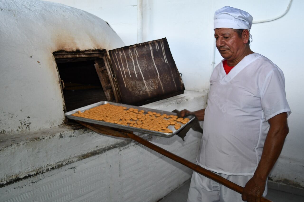 En Huila presentarán la achira más grande del mundo