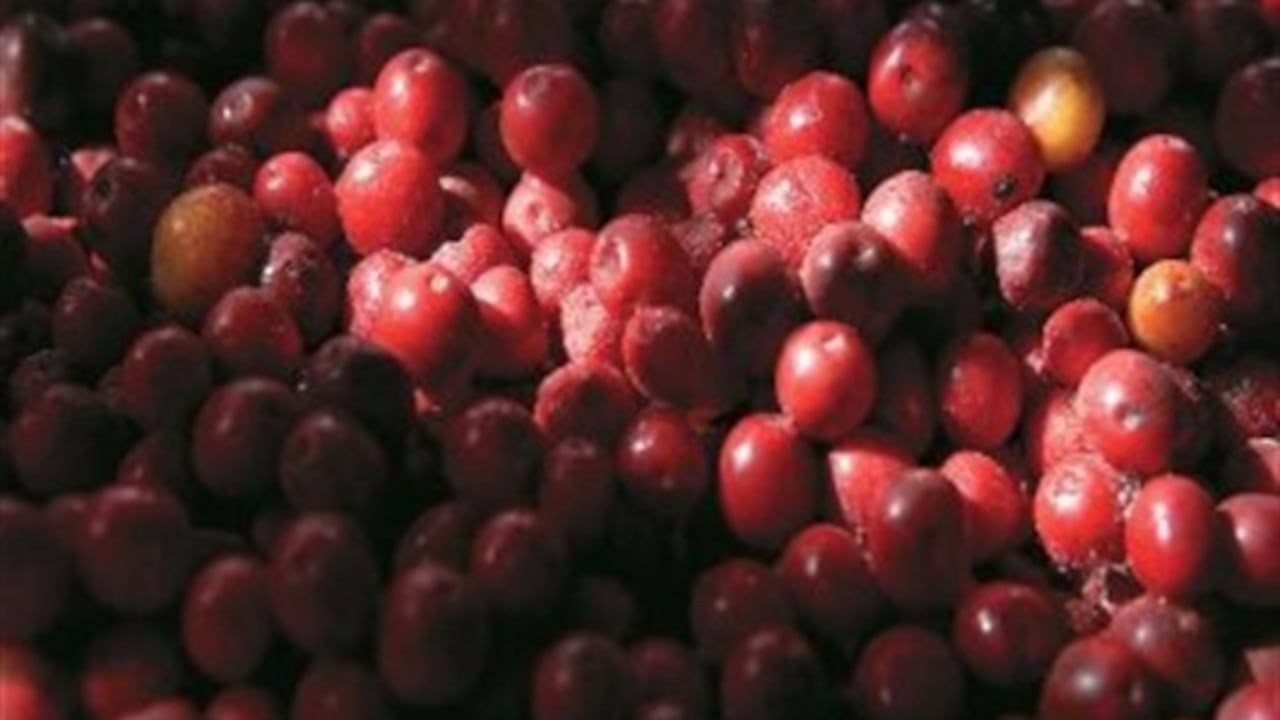 El Café de Colombia está protegido bajo marcas de certificación en Estados Unidos y Canadá, entre otros países.