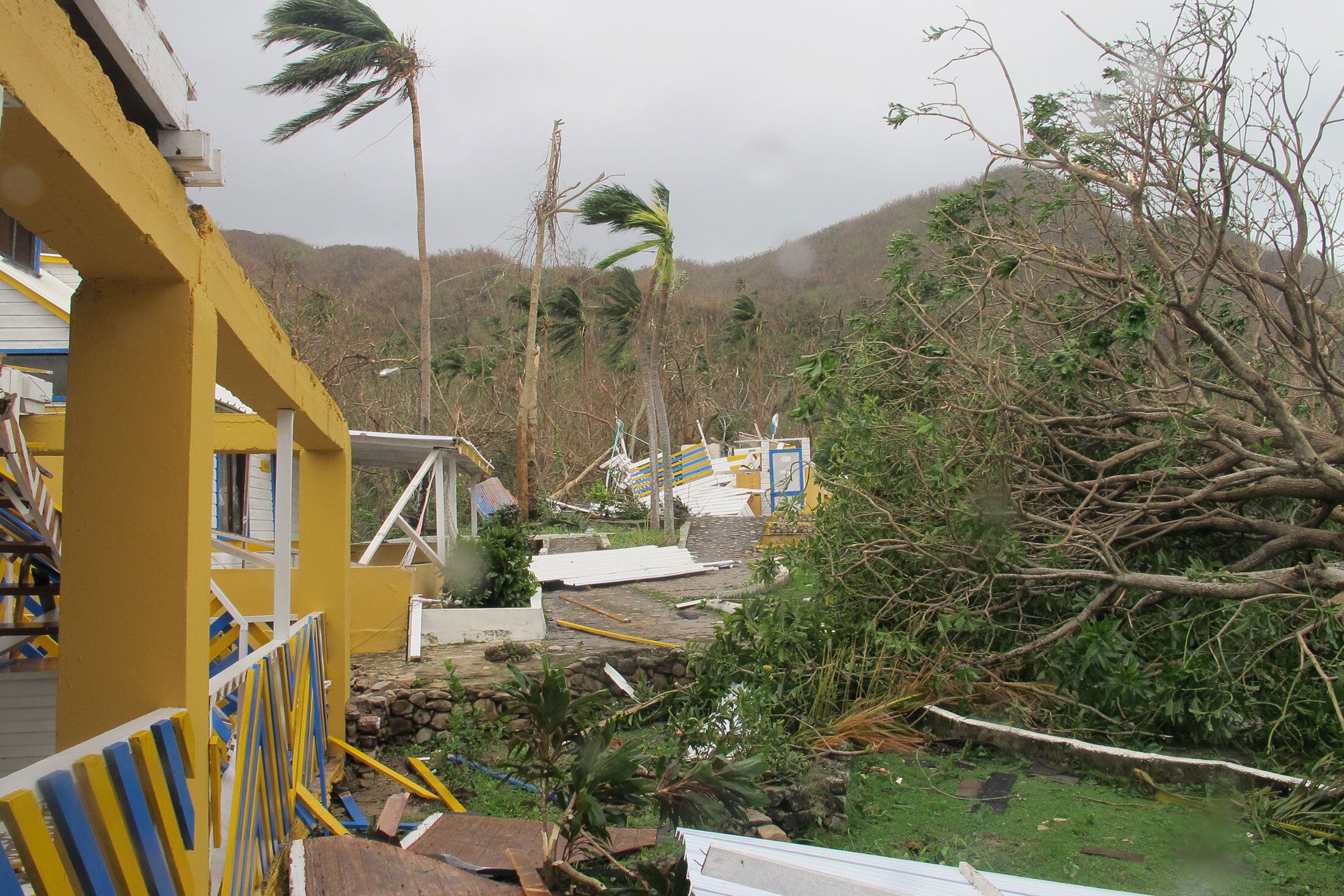 Providencia Iota - 8