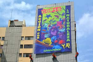 Por primera vez en Colombia, los escaladores de GreenPeace, desplegarán el banner que pide una acción inmediata por la naturaleza, en el marco de la COP16. Foto Jorge Orozco / El País