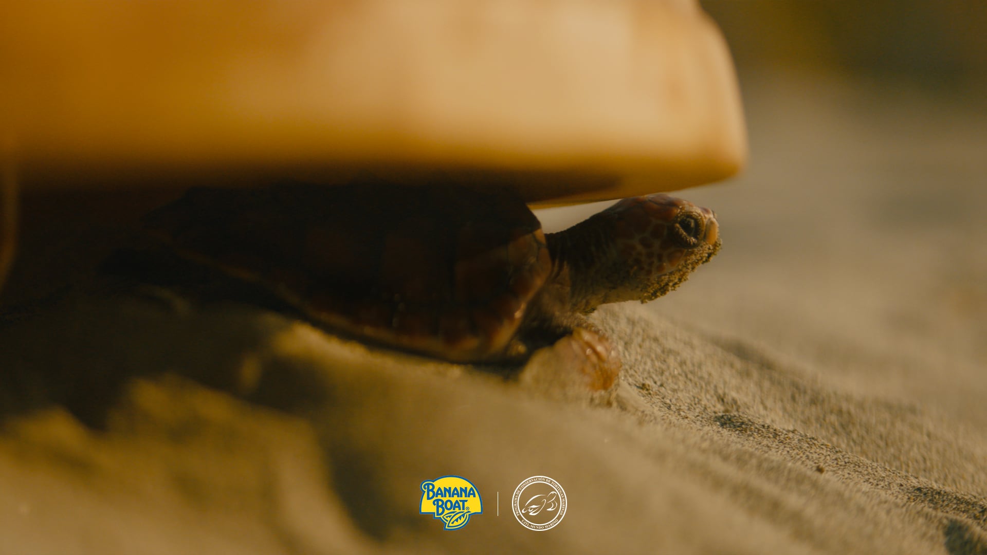 Wunderman Thompson Colombia