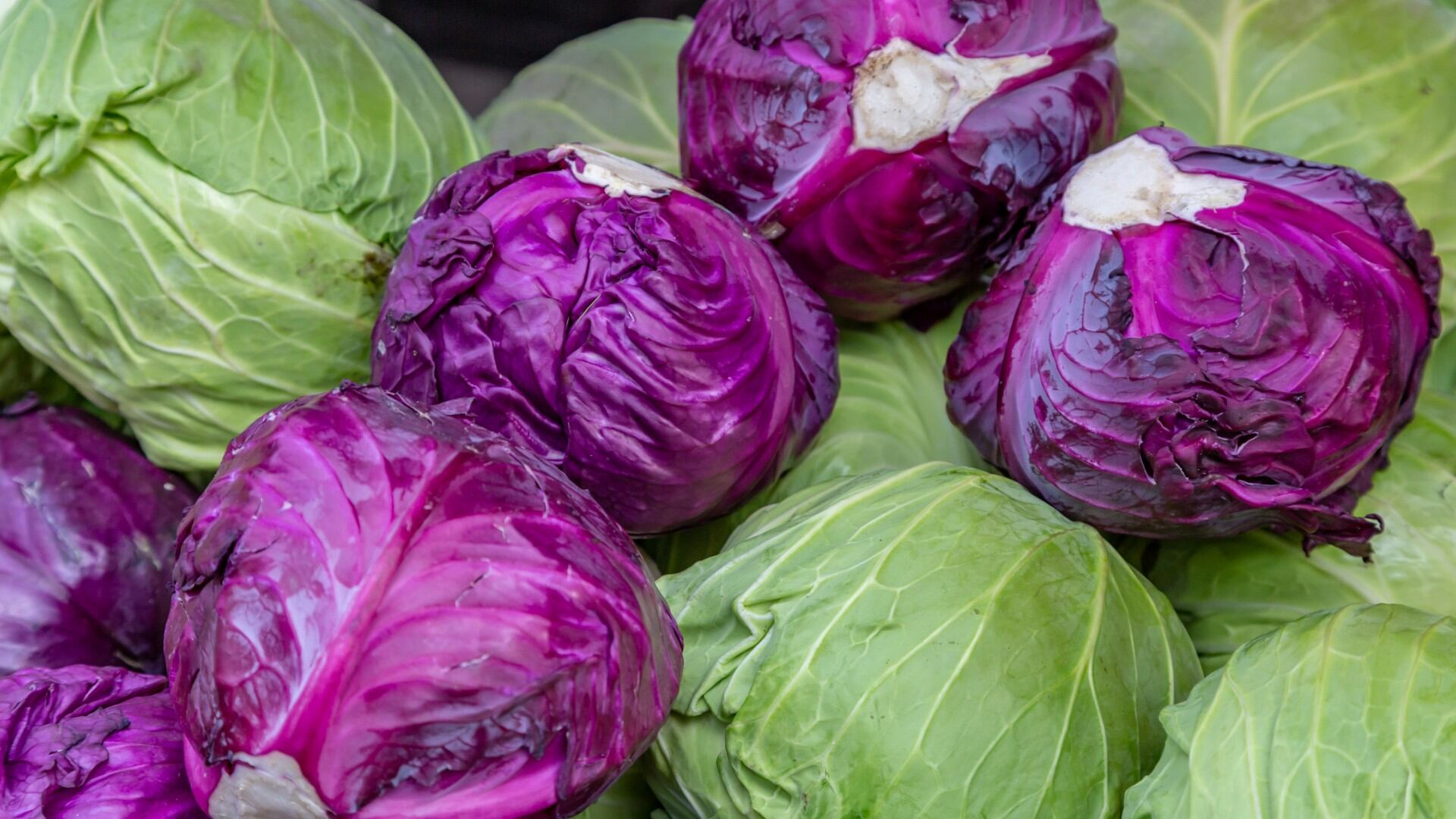 Son muchas las propiedades y beneficios de la col para la salud.