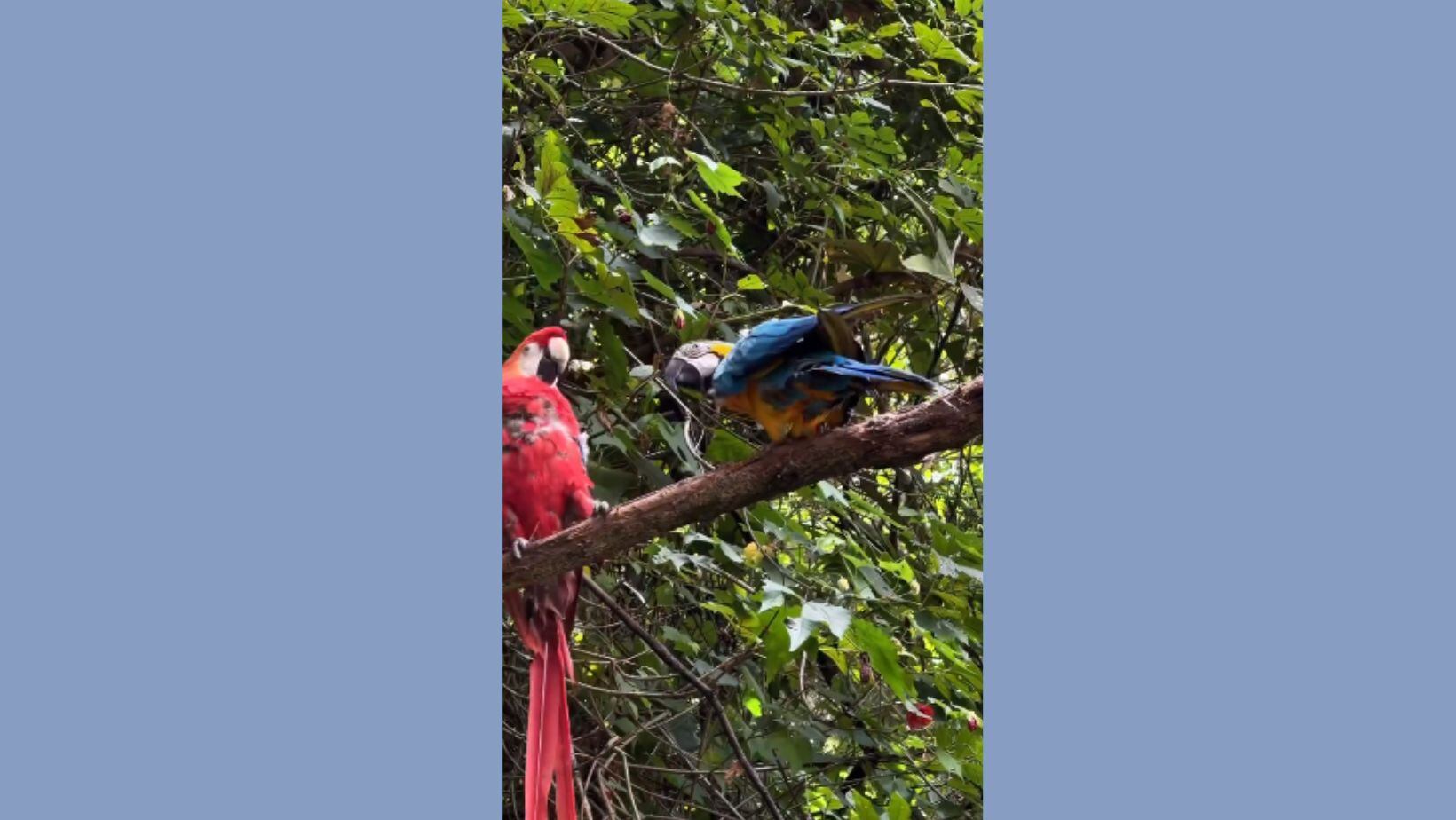 Bioparque la Reserva en Cota