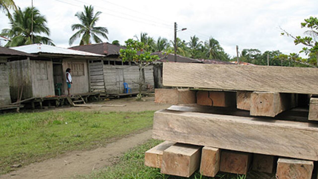 A lo largo del río Atrato, es paradójica la gran cantidad de madera que se explota y la miseria de los pueblos.