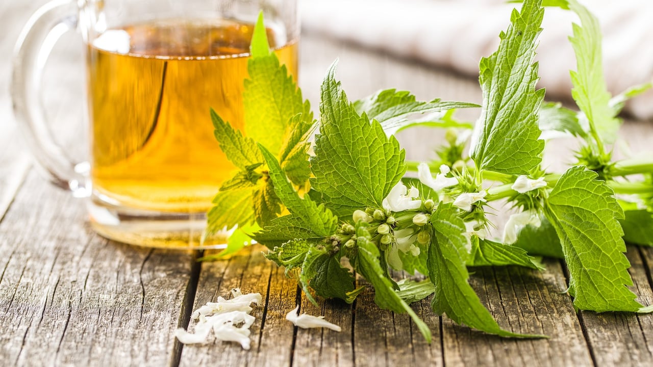 La infusión de ortiga es buena para adelgazar.
