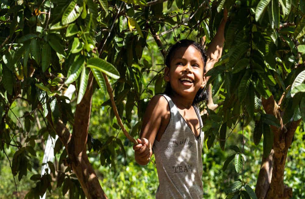 Niño del pueblo senú bajando guayabas en el resguardo Los almendros en El Bagre, Antioquia.