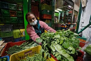 La importación de fertilizantes y demás químicos agropecuarios tienen costos elevados lo que encarece las legumbres y otros alimentos.
Foto: Guillermo Torres