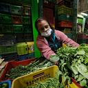 La importación de fertilizantes y demás químicos agropecuarios tienen costos elevados lo que encarece las legumbres y otros alimentos.
Foto: Guillermo Torres