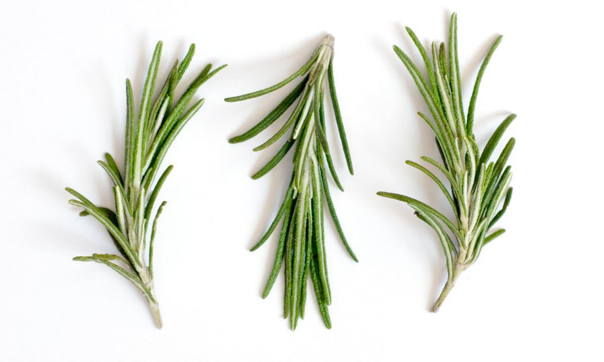 Hierbas que ayudan al crecimiento del cabello.