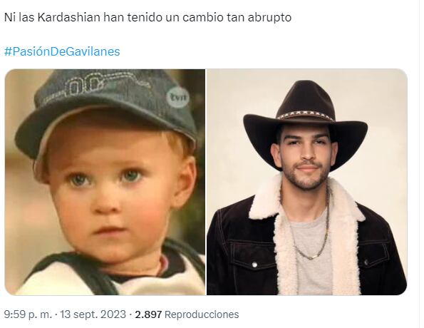 Memes de 'Pasión de gavilanes'
