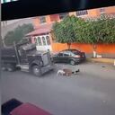 El momento en el que un camionero arrolla intencionalmente a cinco perros en México