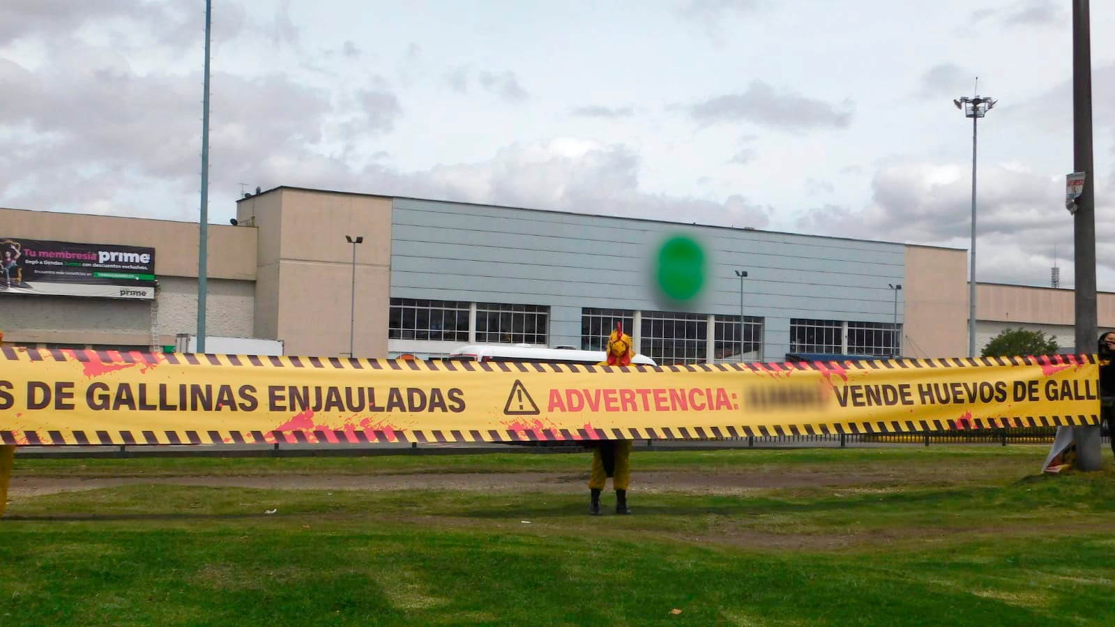 Protesta por venta de huevos de gallinas enjauladas en supermercado