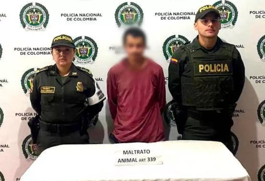 El ataque fue realizado con un machete