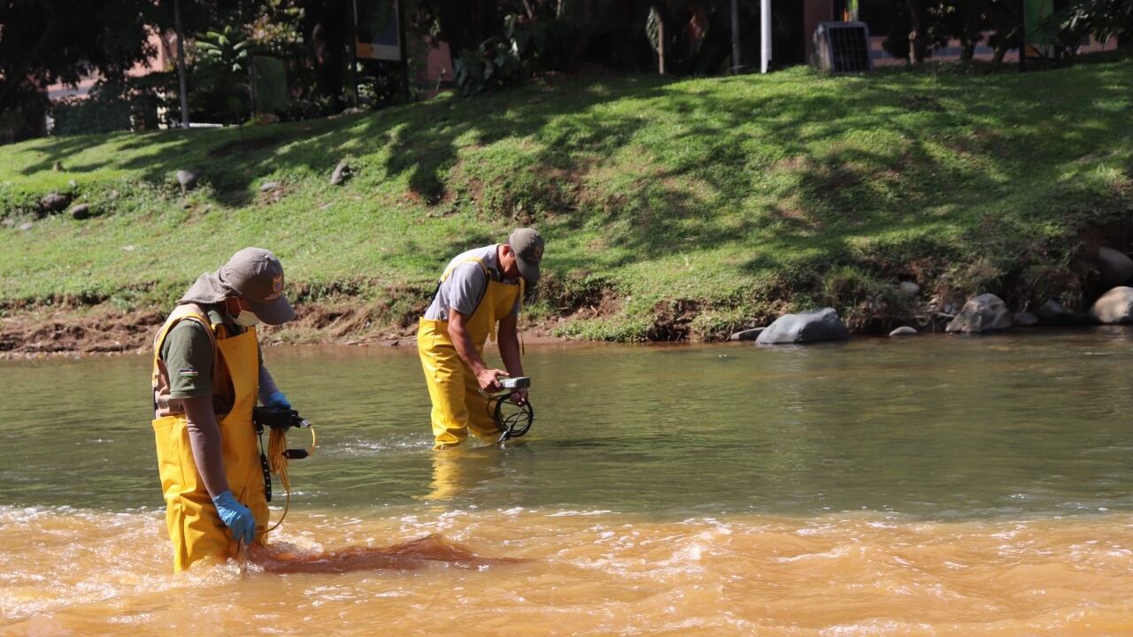 Solo hasta cuando se realice la construcción de la planta de tratamiento de aguas residuales del corregimiento de Montebello y se implementen todos los sistemas que permitan captar y tratar el drenaje ácido de las minas de carbón de la ciudad se pondrá fin a los cambios en la coloración y la presencia de espumas en el río Cali.