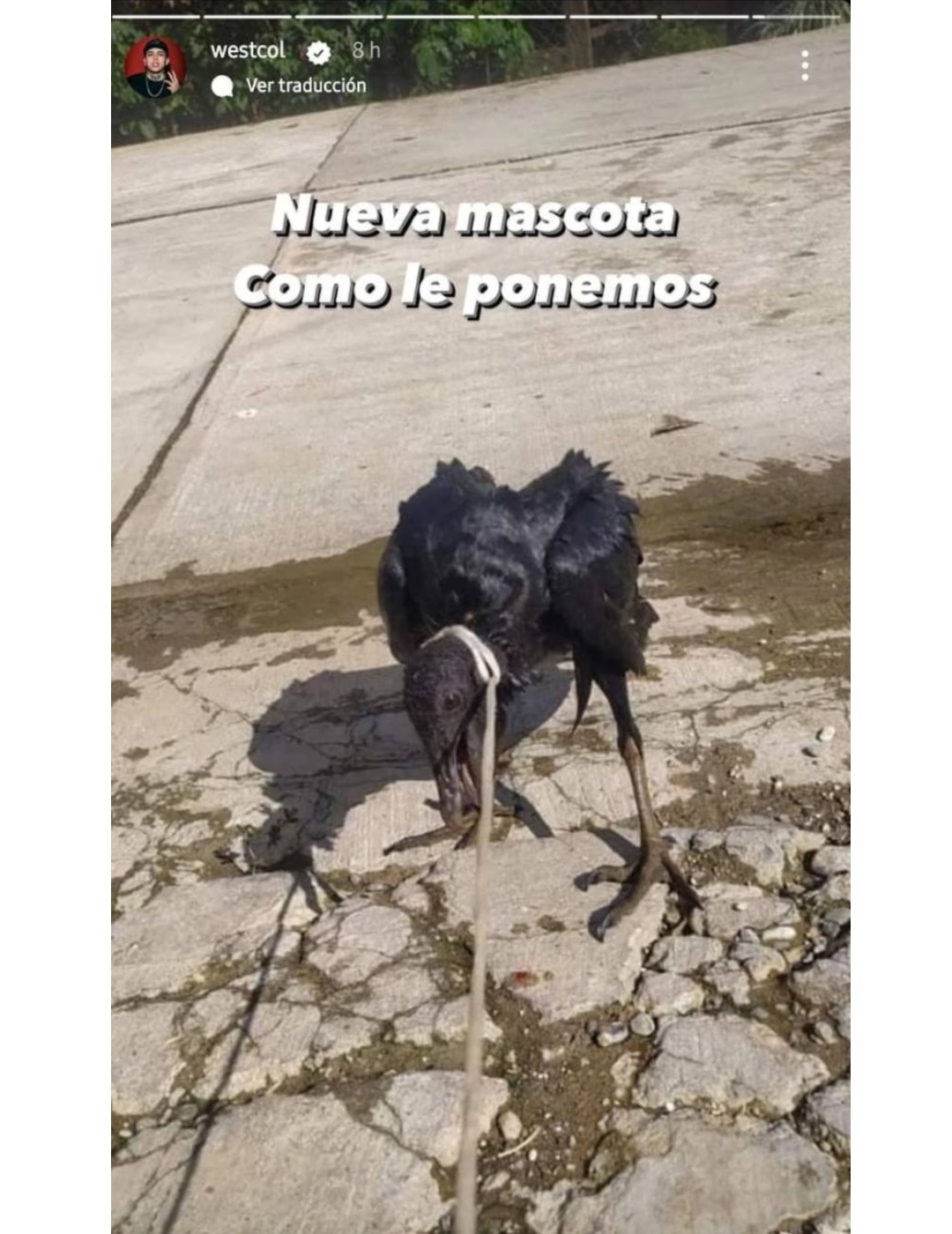 La imagen de Instagram que compartió WestCol por la que se ha desatado toda la polémica.