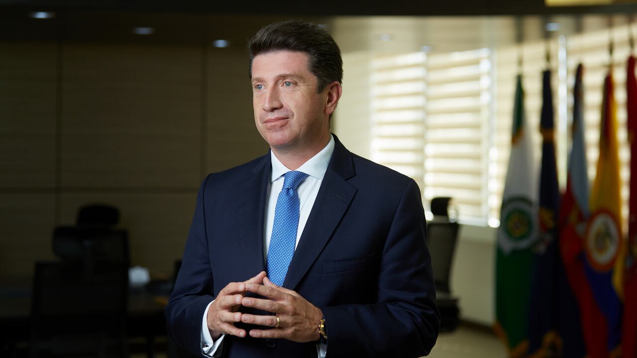 Diego Molano Aponte, ministro de Defensa.