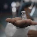 Según la EMA primero se debe evaluar la eficacia de las vacunas existentes para crear un nuevo biológico.