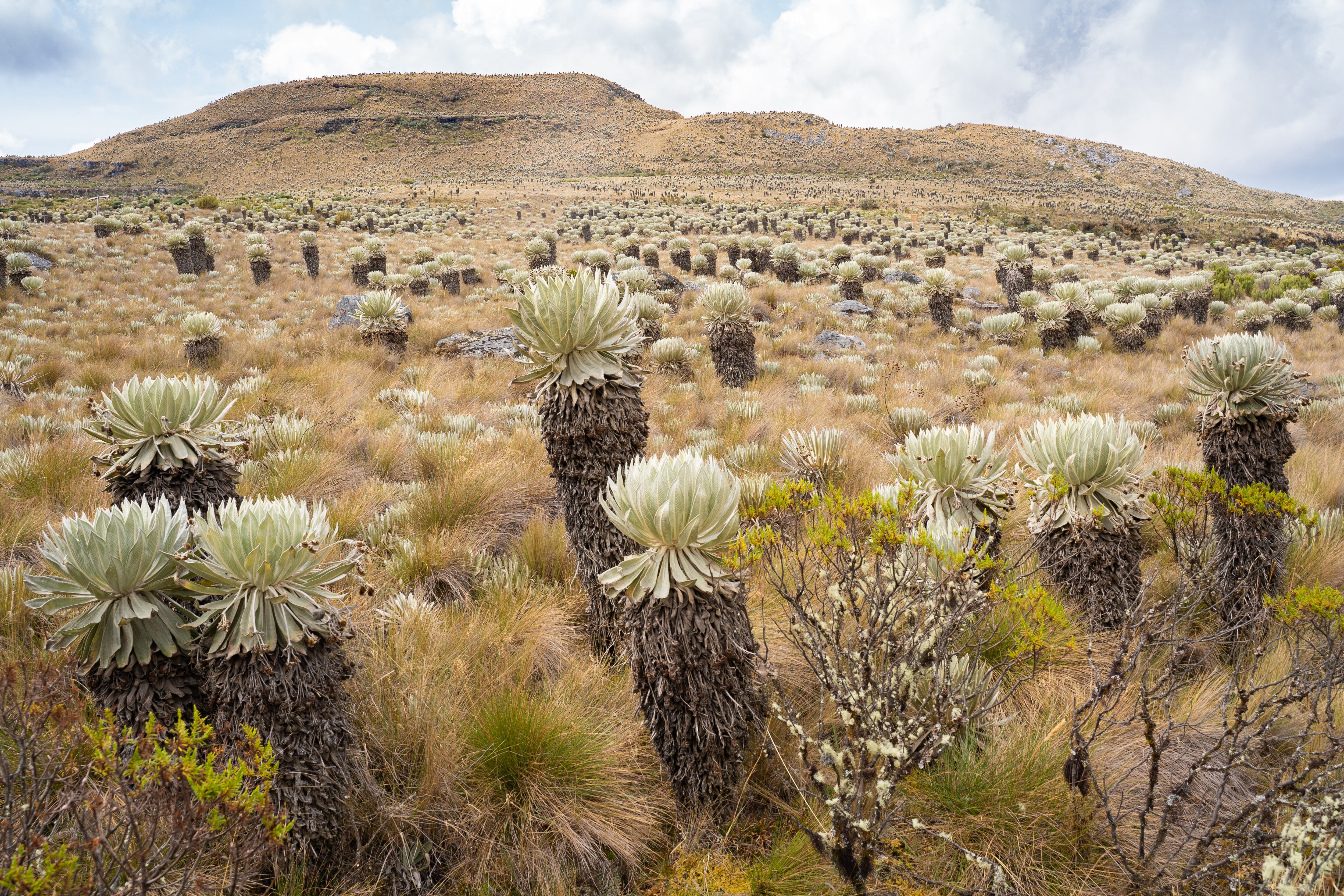 Especial Turismo, Boyacá, Mejor Colombia