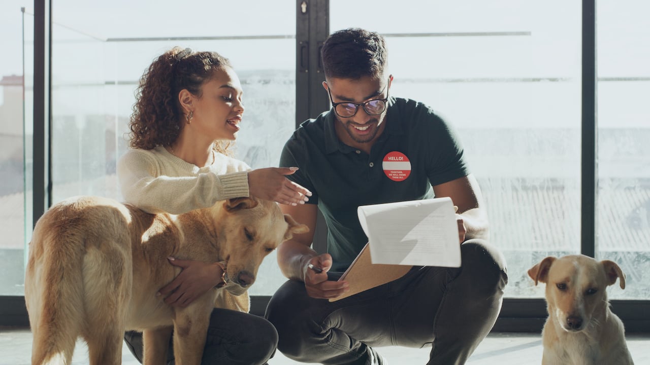 Multa que los colombianos que tendrán que pagar, si no tienen documento obligatorio de las mascotas.