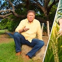 El ministro de Agricultura, Indalecio Dangond habla sobre el cultivo de arroz