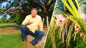 El ministro de Agricultura, Indalecio Dangond habla sobre el cultivo de arroz