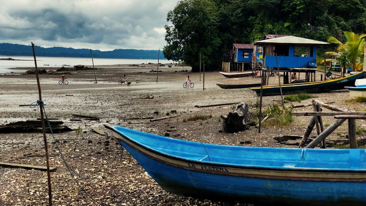 Fotografía del documental Sonic Forest de Bomba Estéreo. Cortesía de M3 Music
