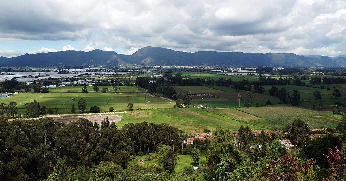 Reserva forestal Thomas Van der Hammen