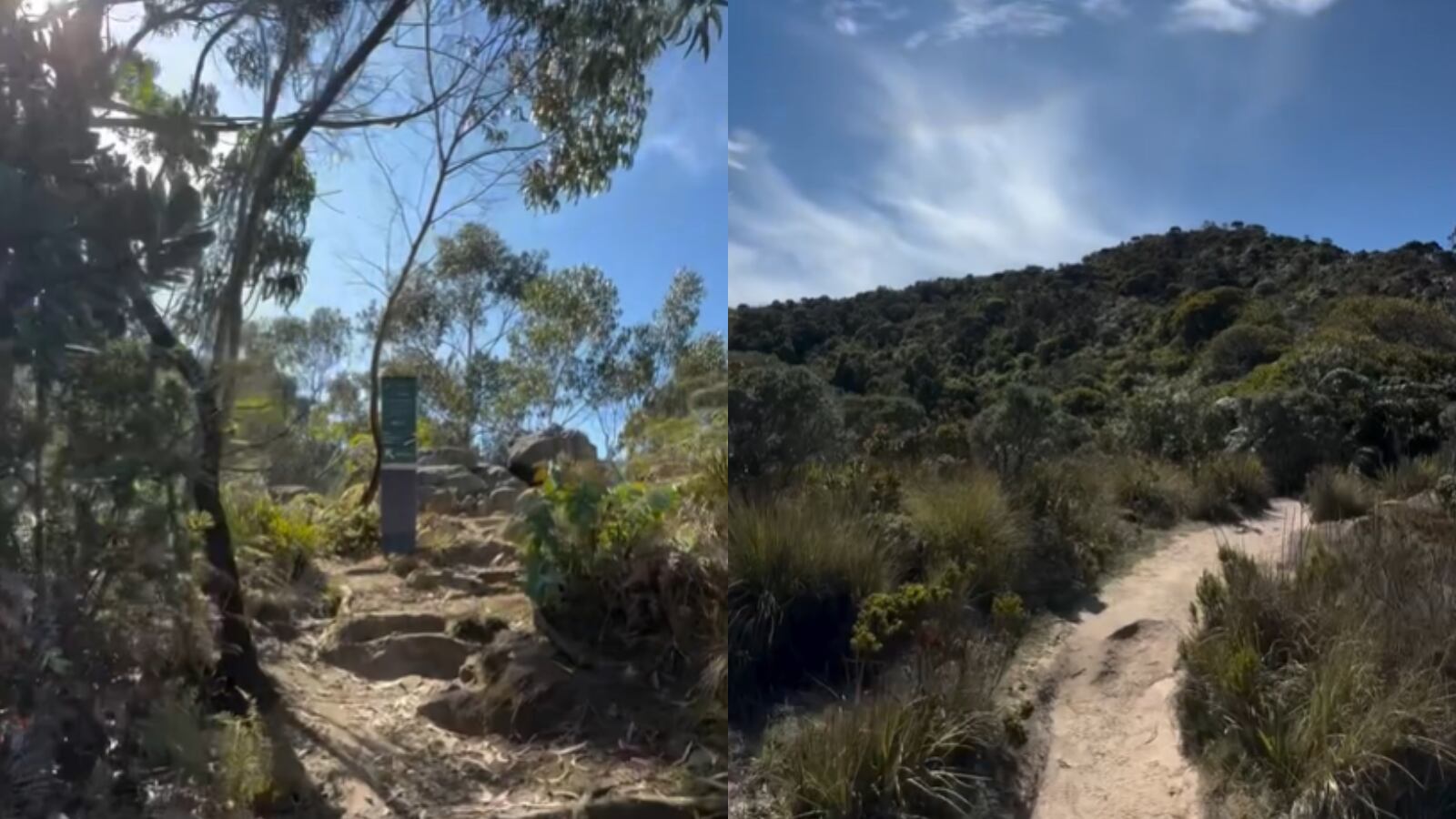 Prográmese para disfrutar del sendero de Las Moyas, en Bogotá
