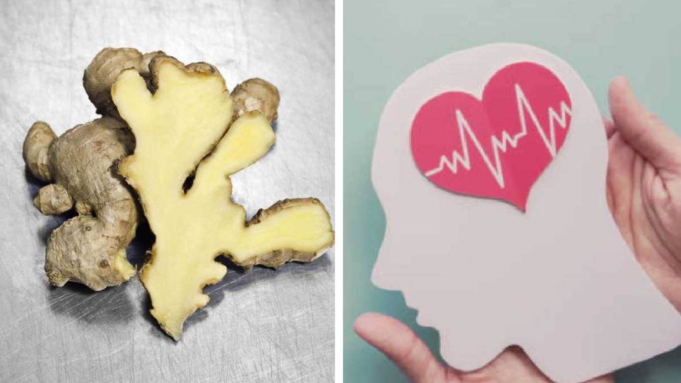 Las infusiones naturales aportan energía para mejorar la concentración. Foto: Getty Images. Montaje SEMANA.