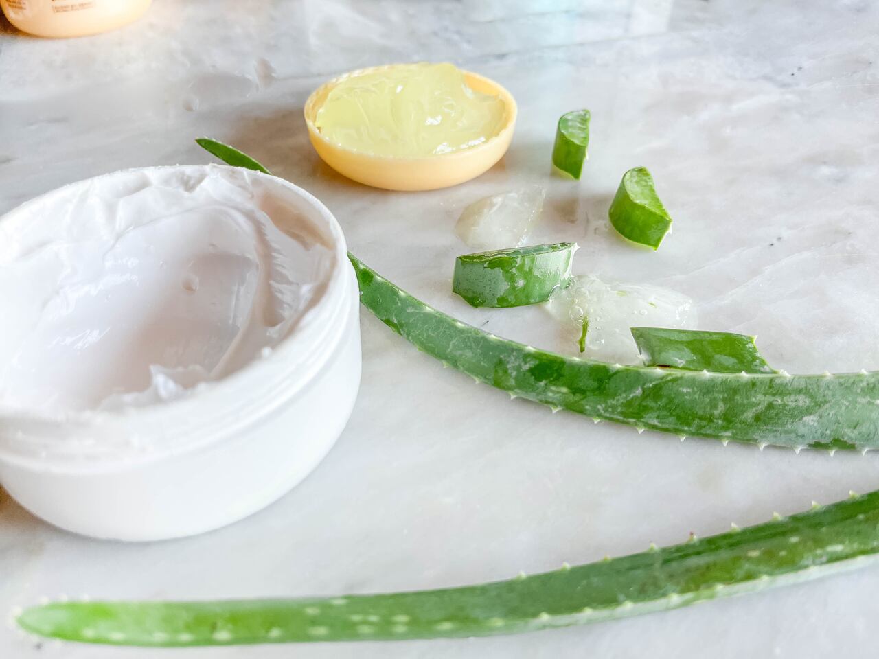 Aloe vera