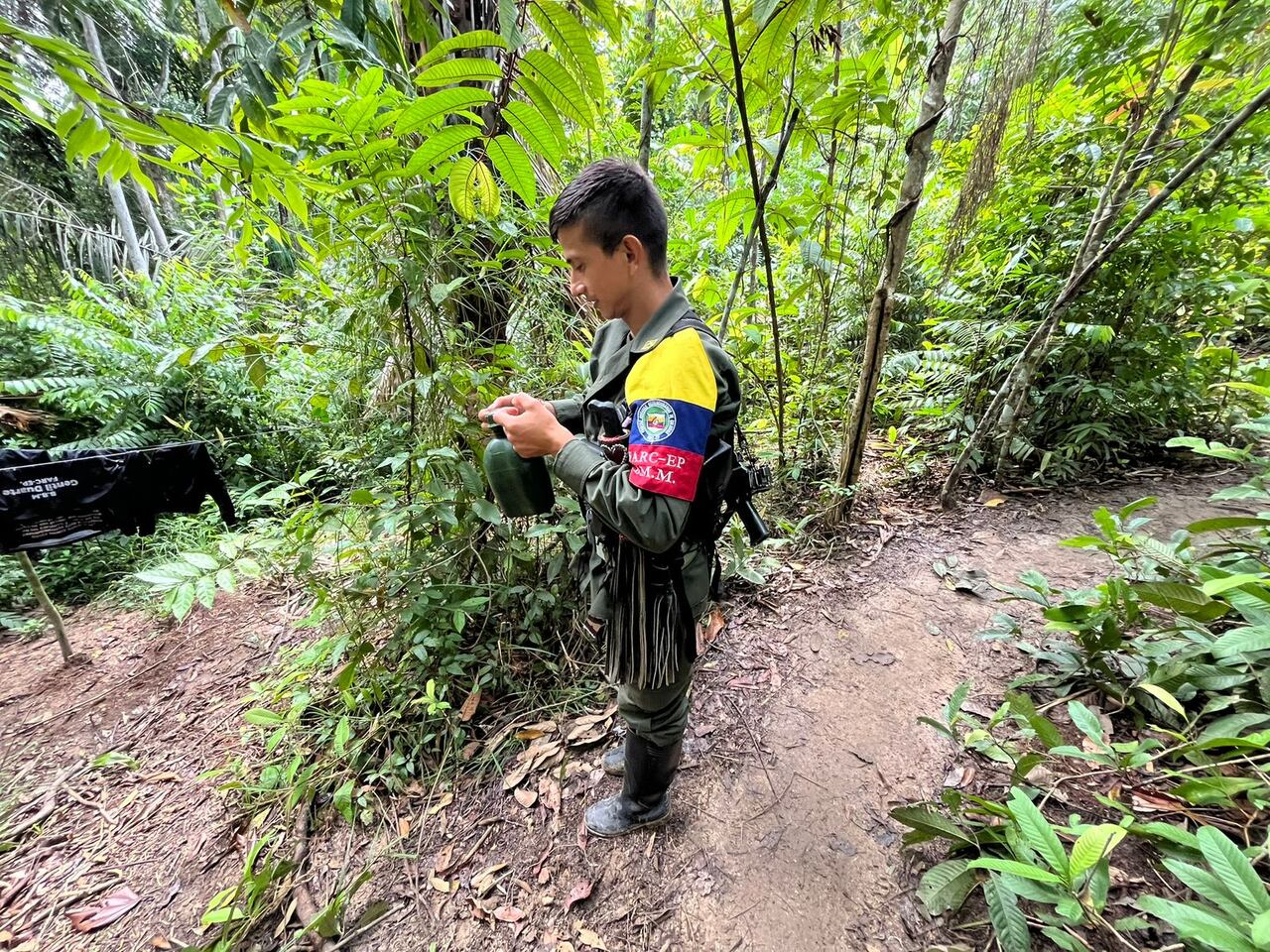 La periodista conversó con las Farc y el comandante Andrey Avendaño