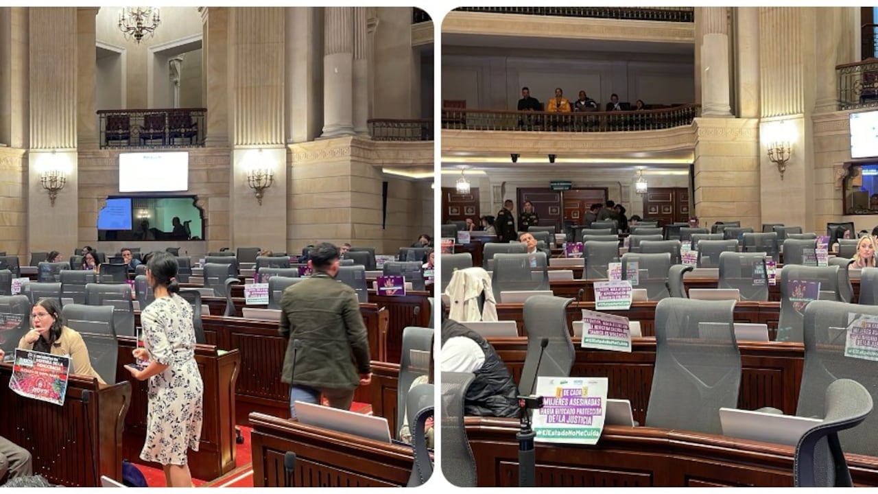 Panorama en la Cámara de Representantes durante el debate de control político sobre feminicidio en Colombia.