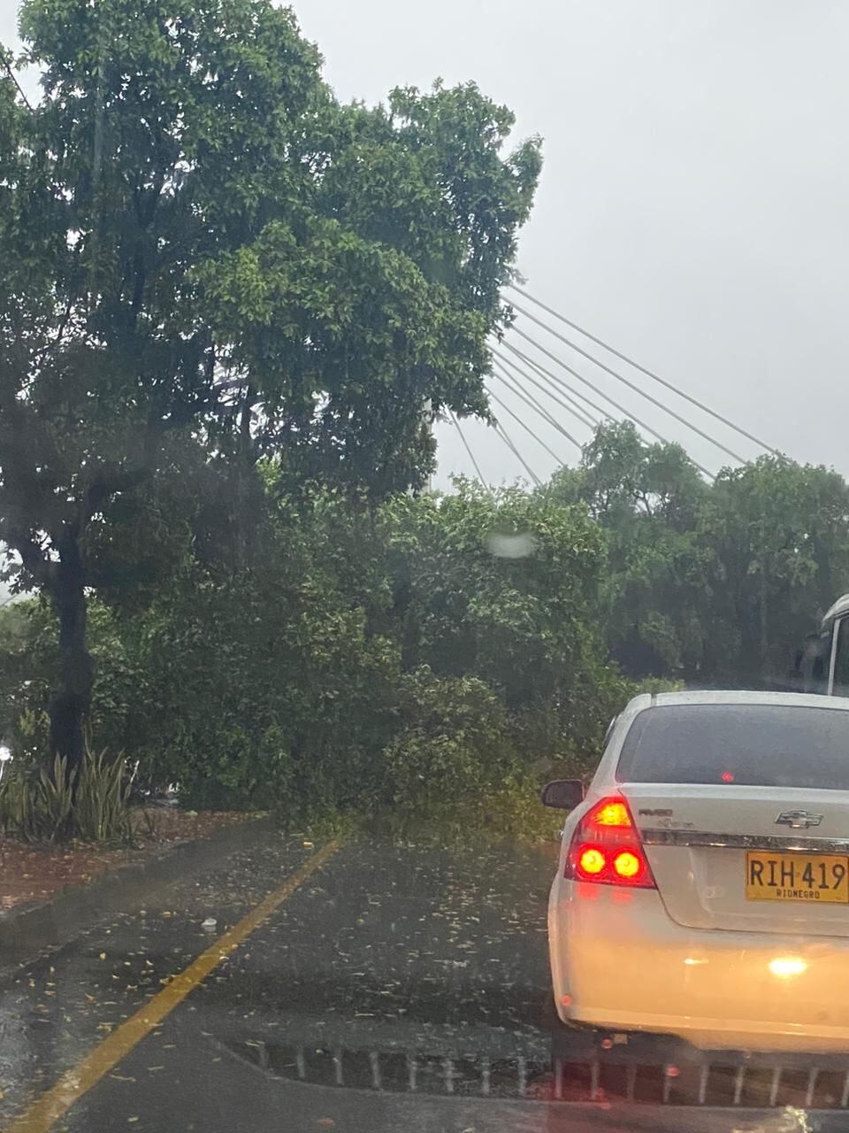 Esto ocurrió en la Diagonal Santander.