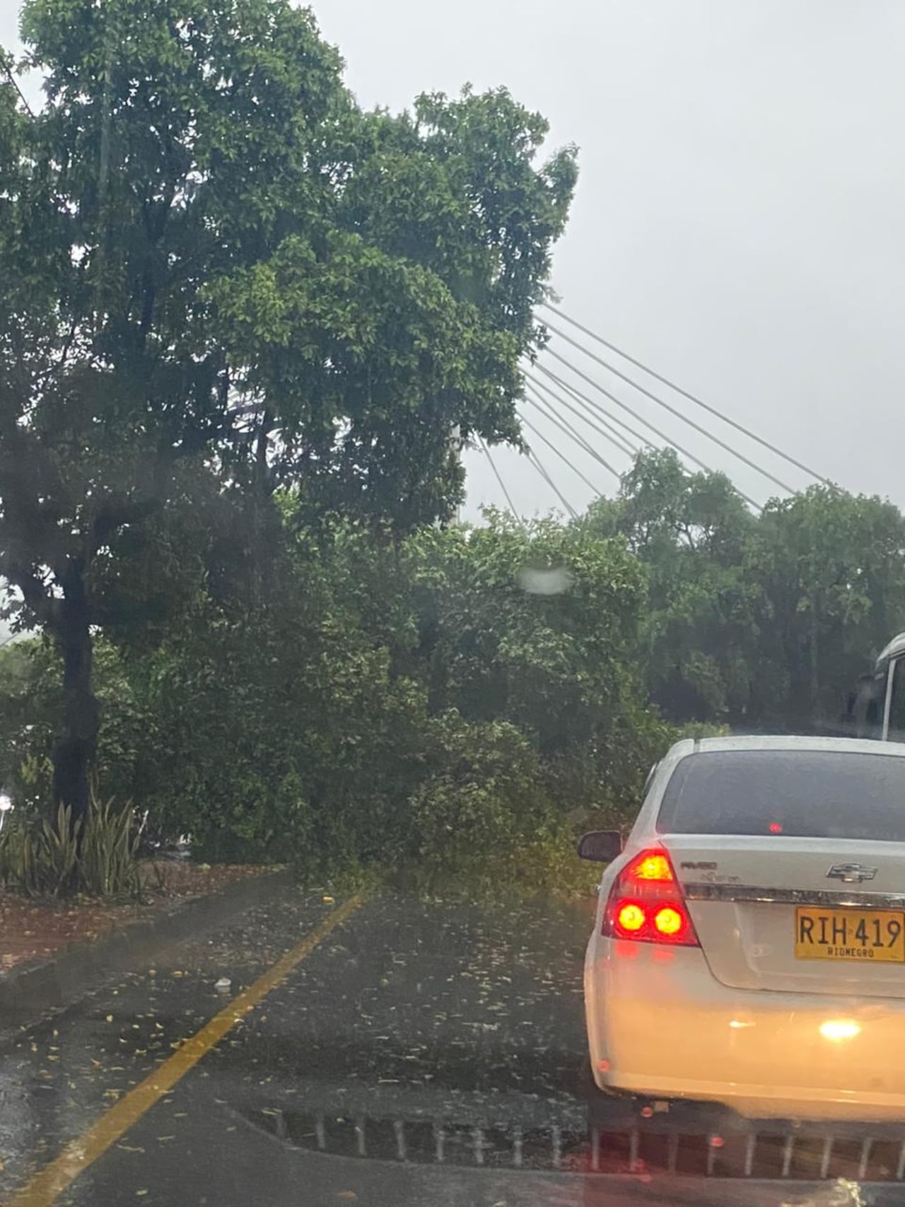 Esto ocurrió en la Diagonal Santander.