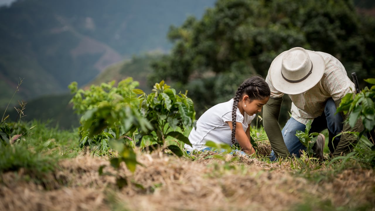 La SAC dijo que Colombia tiene todo el potencial para convertirse en una potencia agrícola en América Latina.