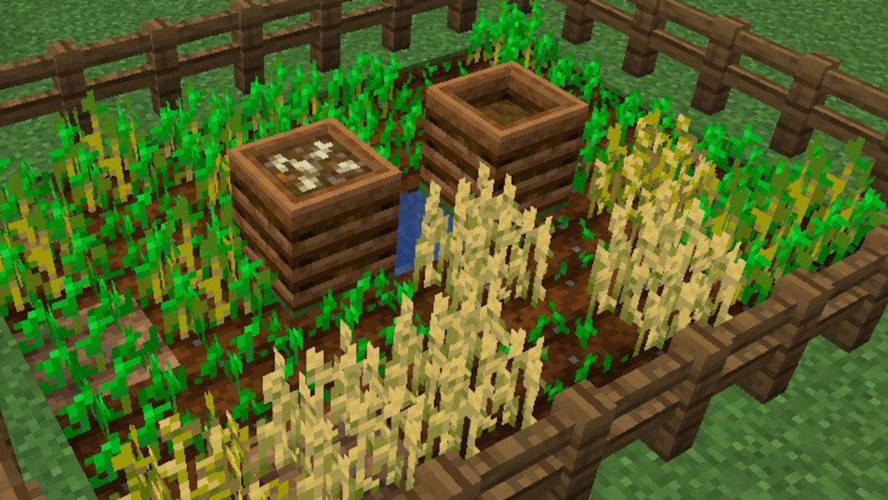 El gamer perdió la vida por un tumor.