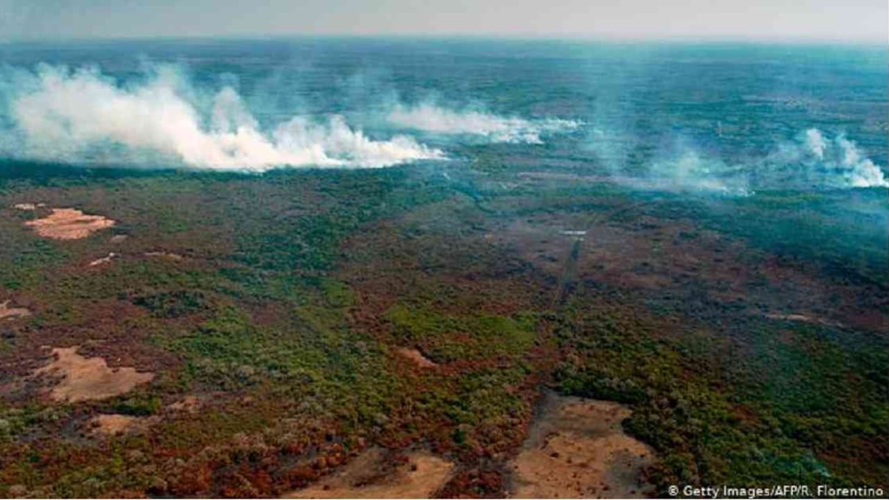 Las llamas avanzan con gran fuerza y velocidad. Foto: DW