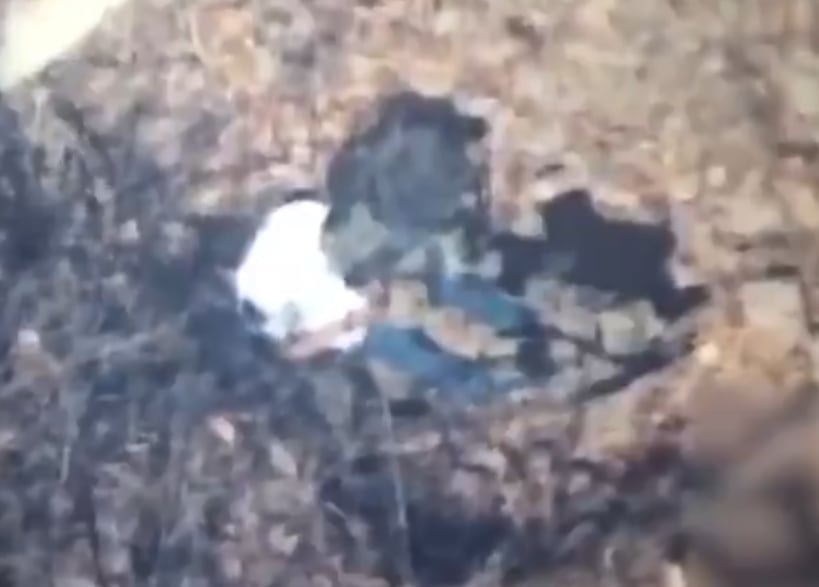 Captura de El Jardinero en Nayarit, México