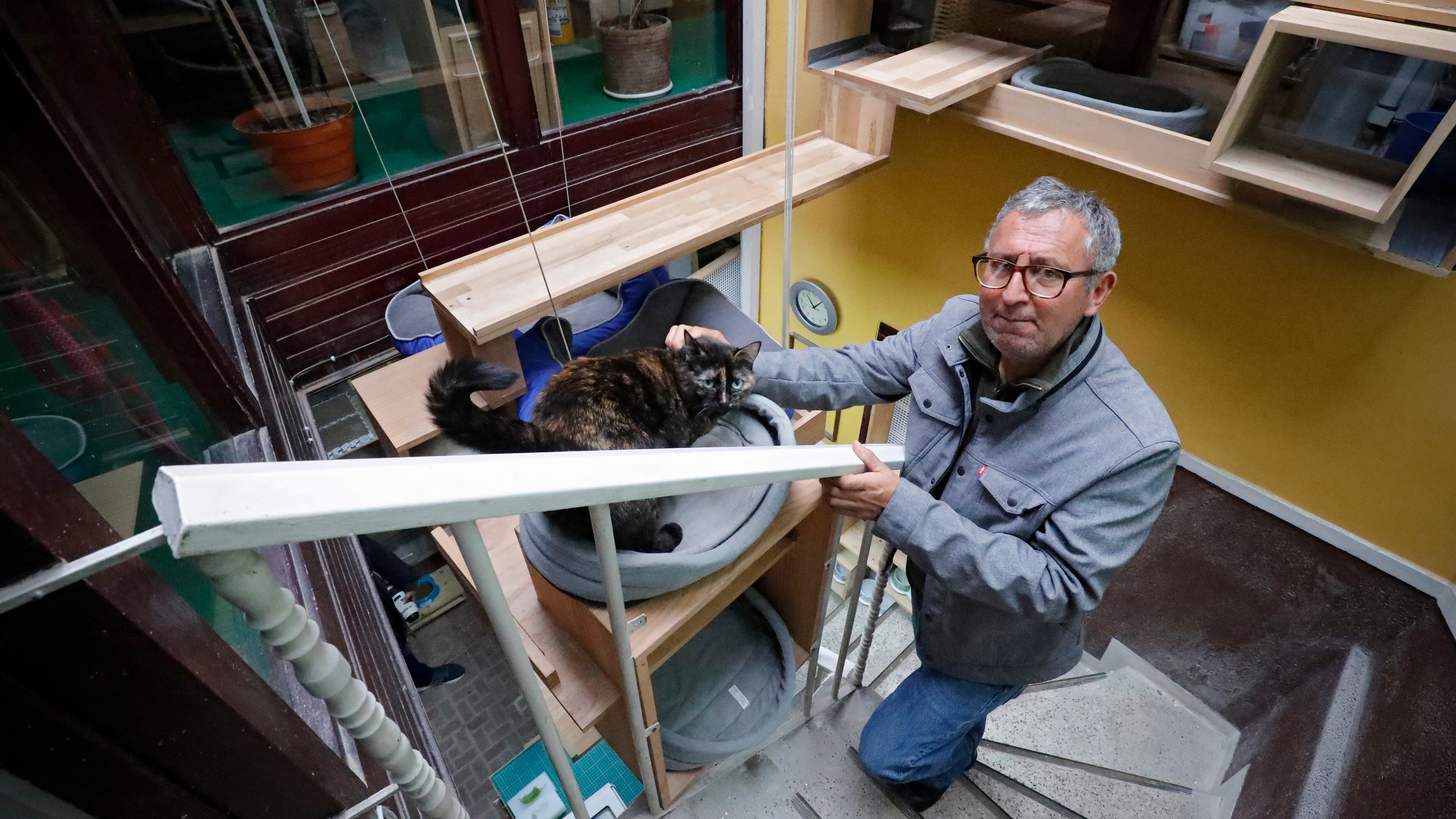 4 Patas, Arquitectura para gatos