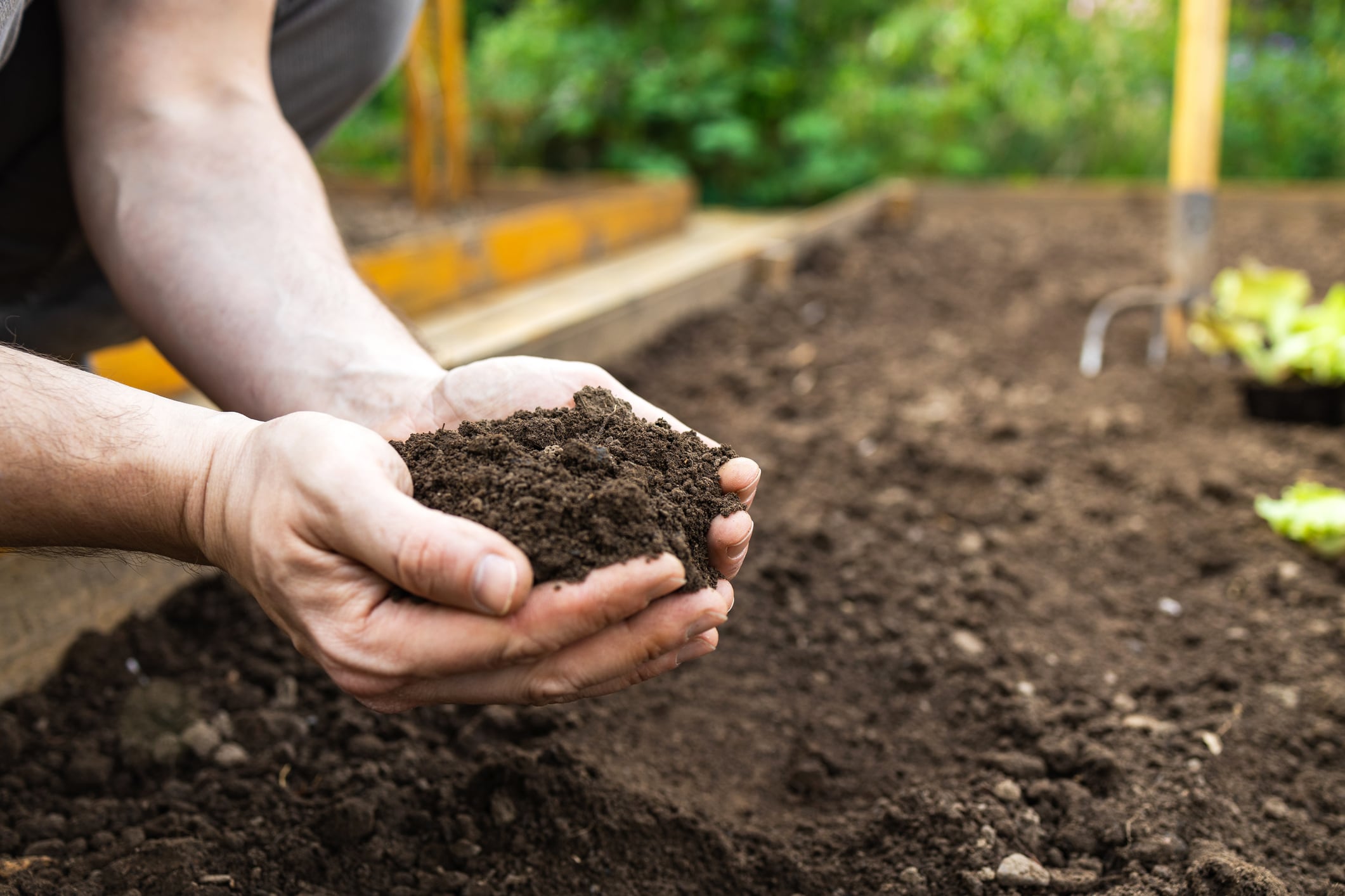 El exceso de fertilizantes puede afectar la vida del suelo pese a favorecer su actividad biológica.