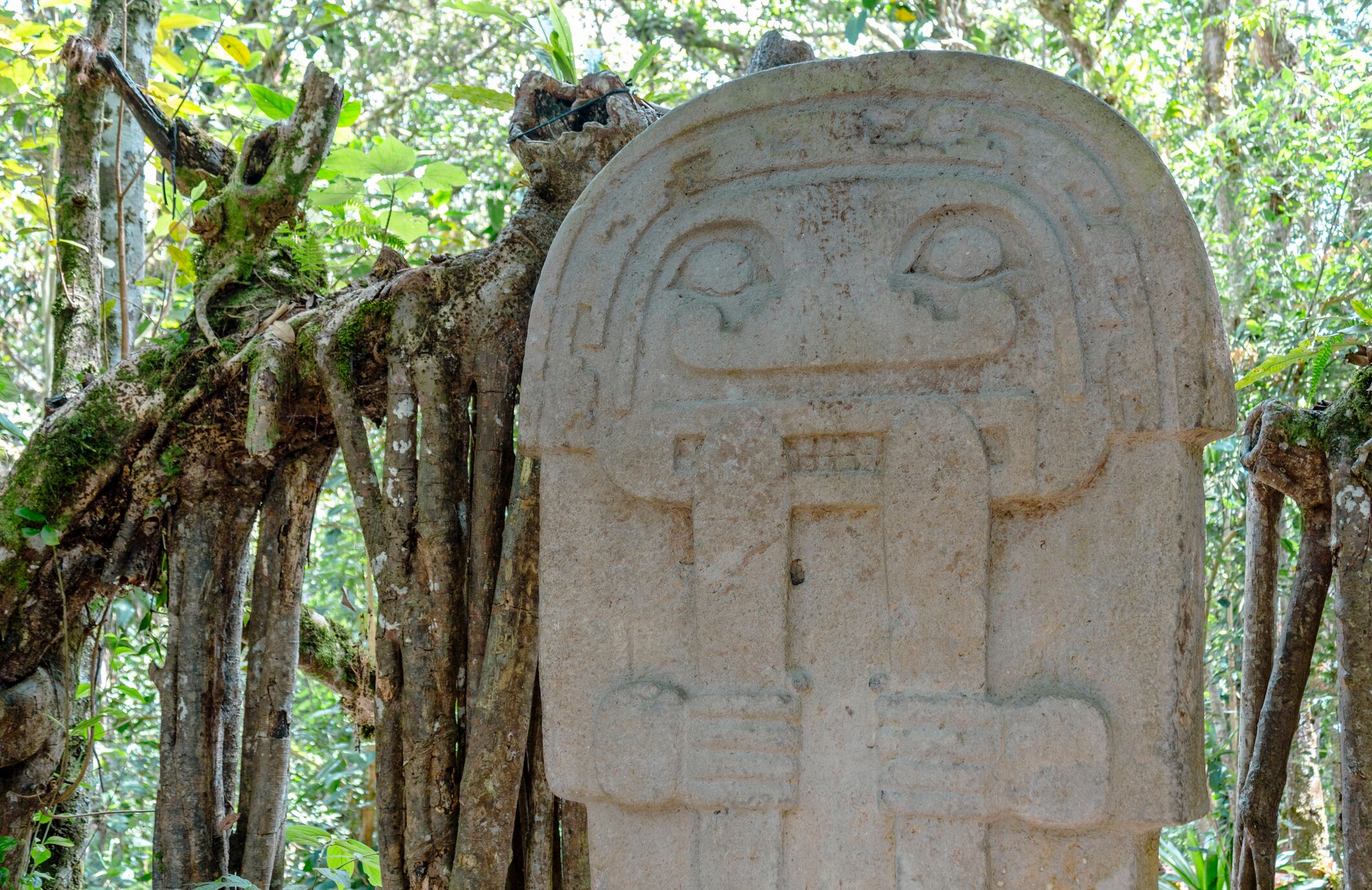 San Agustin (San Agustín), Huila, Colombia : pre-columbian megalithic sculpture on display in the archaeological park, San Agustin. Impressive statue carved with volcanic stone.