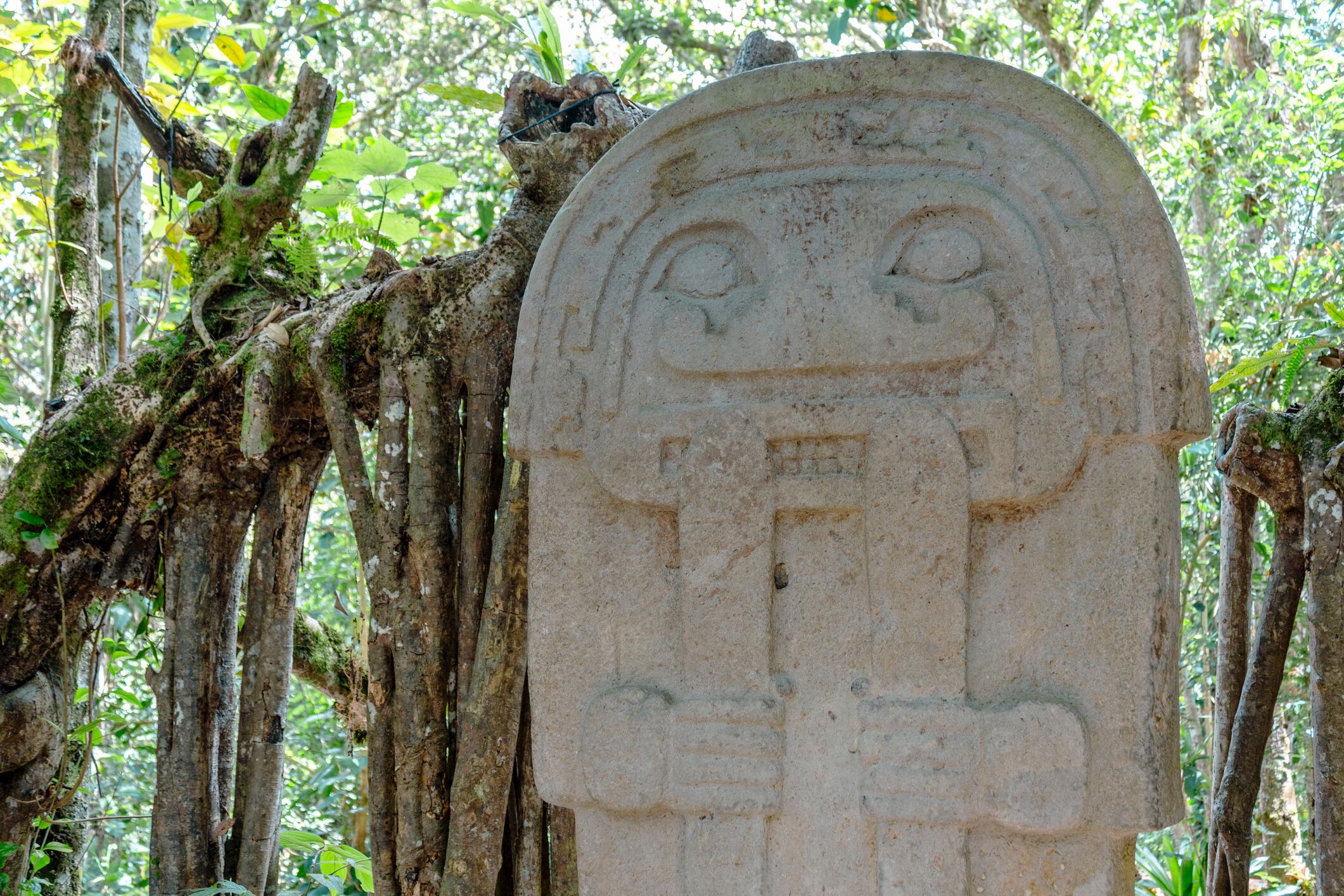 San Agustin (San Agustín), Huila, Colombia : pre-columbian megalithic sculpture on display in the archaeological park, San Agustin. Impressive statue carved with volcanic stone.
