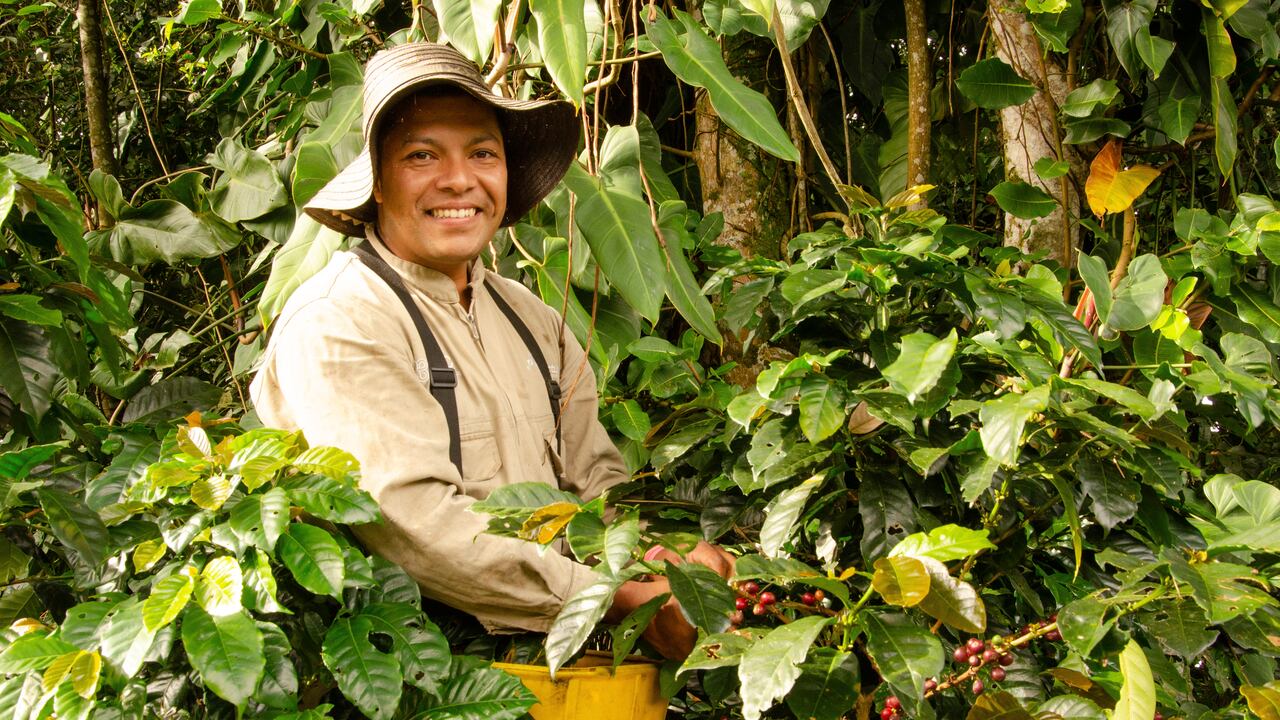 Las 110 familias antioqueñas beneficiadas se encuentran en municipios como Urrao, Ciudad Bolívar, Andes, Jericó, Fredonia, Santa Bárbara, Támesis, Caicedo, Santa Fe de Antioquia, Giraldo, Concordia, Jardín, Abejorral, Sonsón, Amalfi y Santo Domingo.