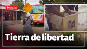 Líderes comunitarios, habitantes y pobladores que han asumido el rol de testigos electorales cuentan cómo ven la participación y por qué consideran importante cuidar los procesos democráticos.