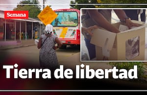 Líderes comunitarios, habitantes y pobladores que han asumido el rol de testigos electorales cuentan cómo ven la participación y por qué consideran importante cuidar los procesos democráticos.
