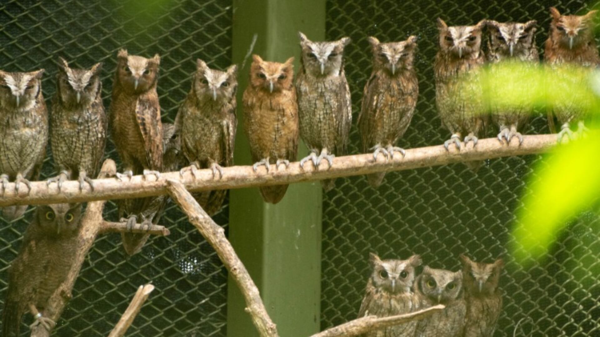 Una buena parte del patrimonio natural de la subregión antioqueña no está a la vista de todos; se resguarda bajo la riqueza vegetal que rodea las área urbanas.